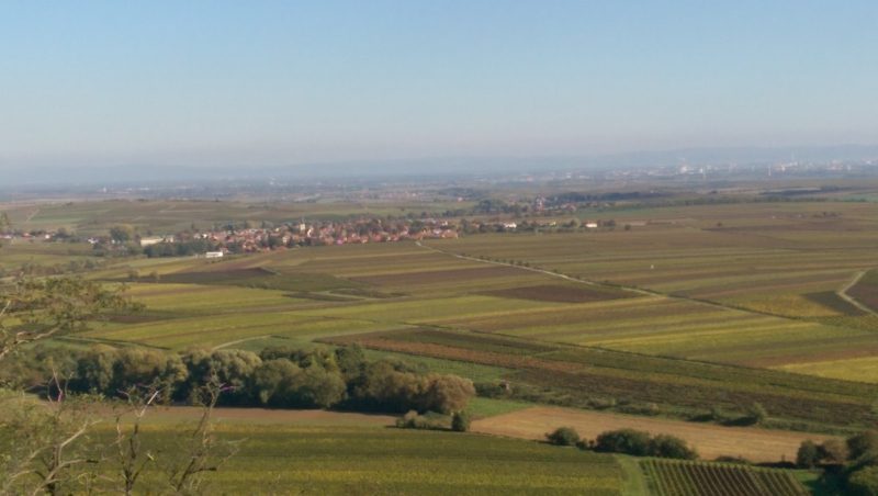 Mitglieder aus dem schönen Rheinland-Pfalz: Alle Pfälzer sind herzlich eingeladen, sich in dieser Gruppe auszutauschen und ggf. Treffen zu vereinbaren